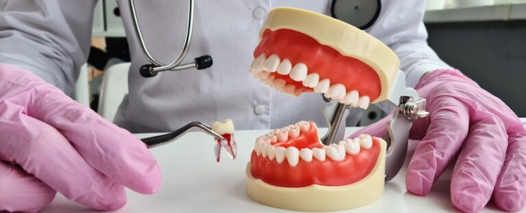 A dental professional in purple gloves is performing several tooth extractions demonstrations on an anatomical model with dental instruments at The Foleck Center in the Tidewater Virginia area.